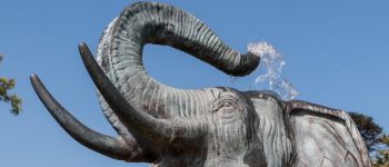 Celebrating Glorious Gardens in Paignton