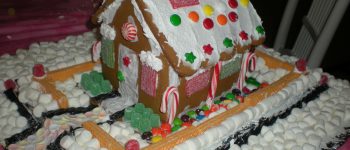 3 Events to Check out in Paignton This Week