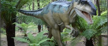 Top 3 Adventures on a Paignton Holiday