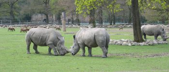 An Amazing Programme of Autumn Events in Paignton