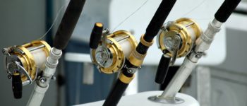 Torbay Sea Angling Festival 2017