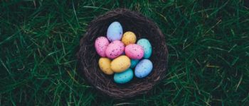 Cadburys Easter Egg Hunt 2017